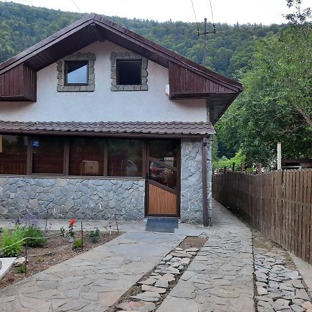 Villa Casa Crissio Sinaia Exterior foto